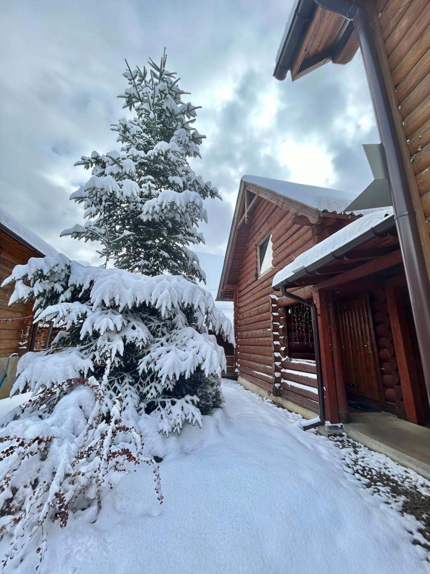 Guest House Kaspiy Bukovel Eksteriør billede
